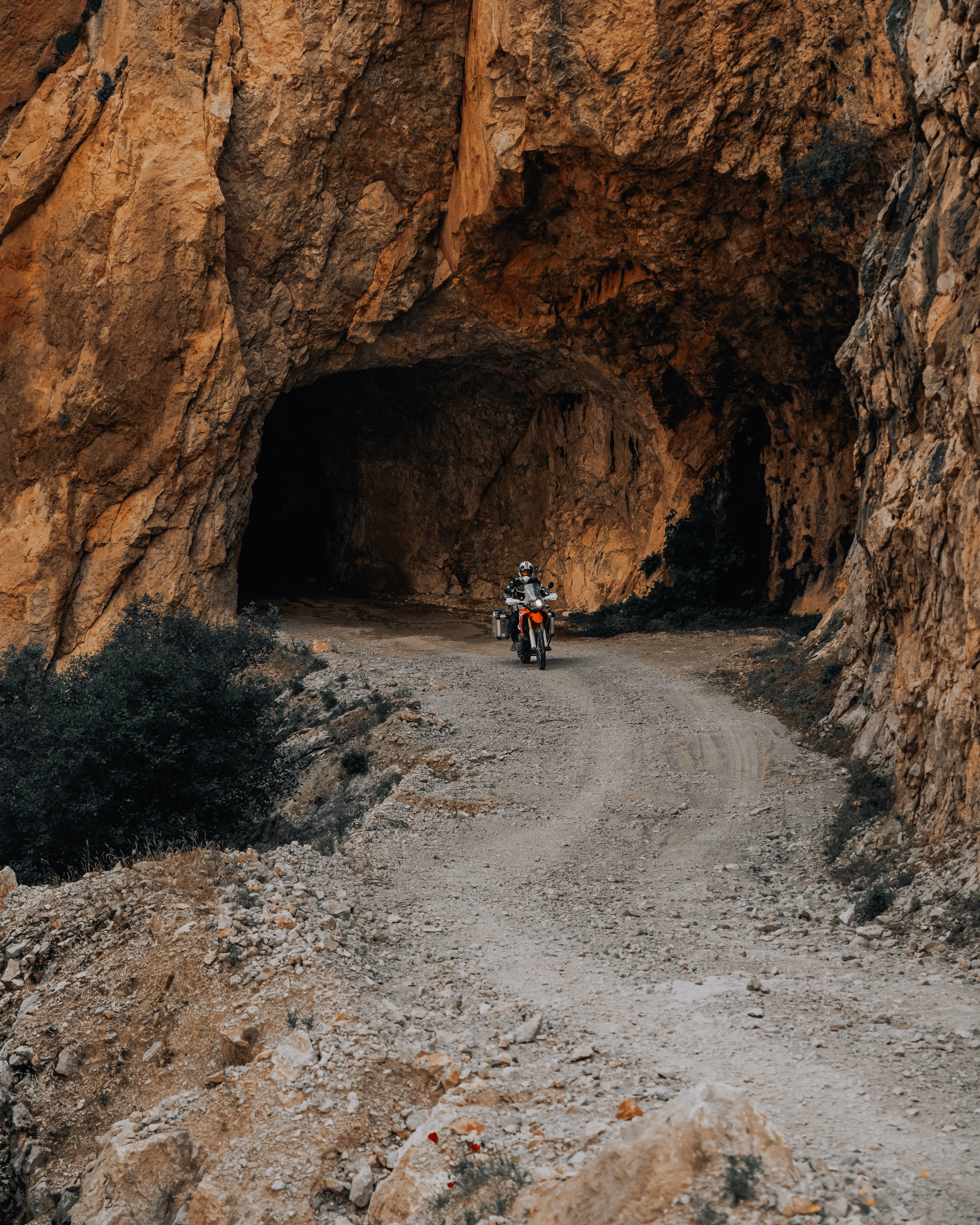 Earth Collection — photo 1