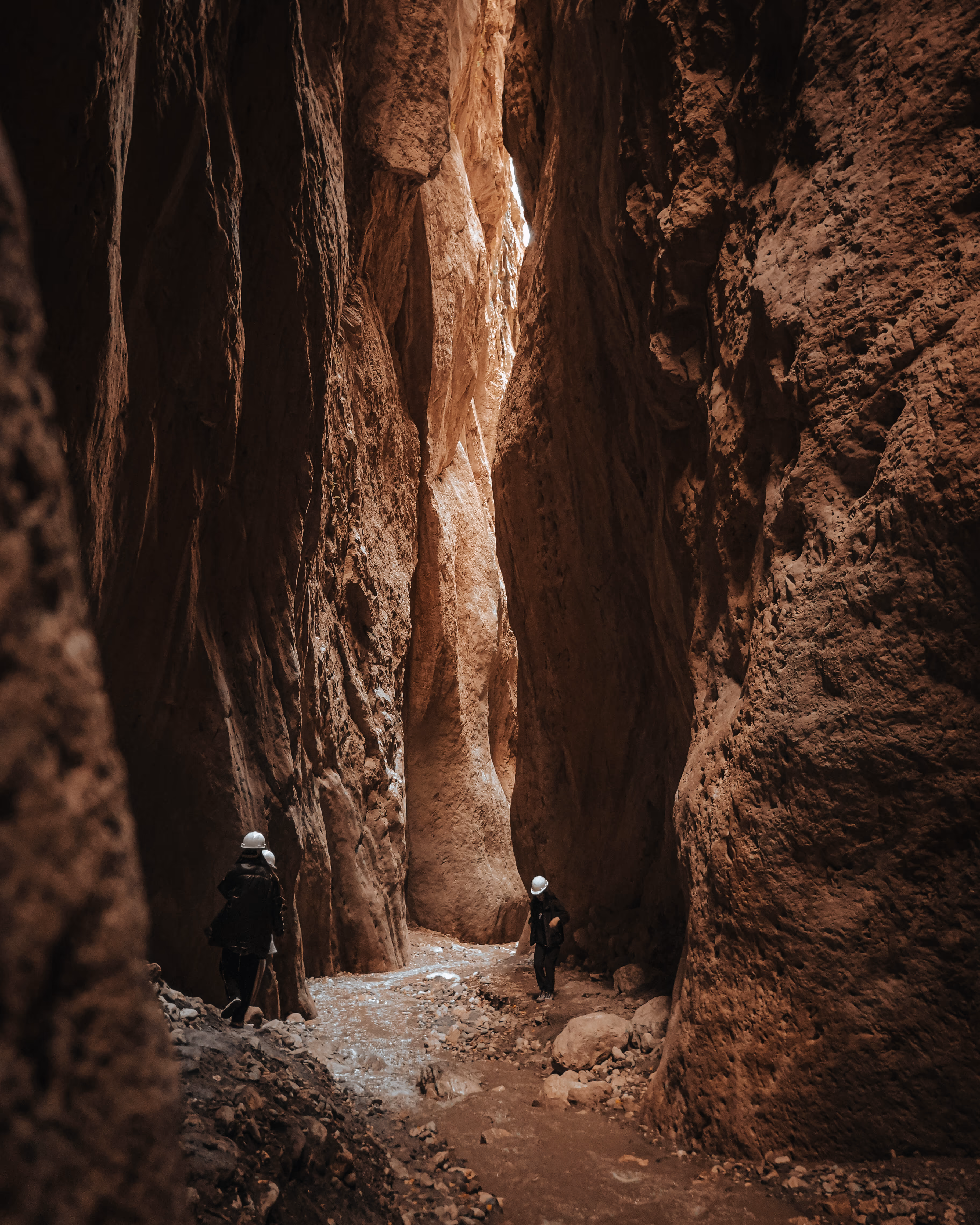 Earth Collection — photo 2