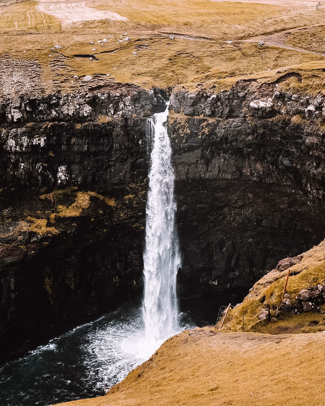 Earth Collection — photo 3
