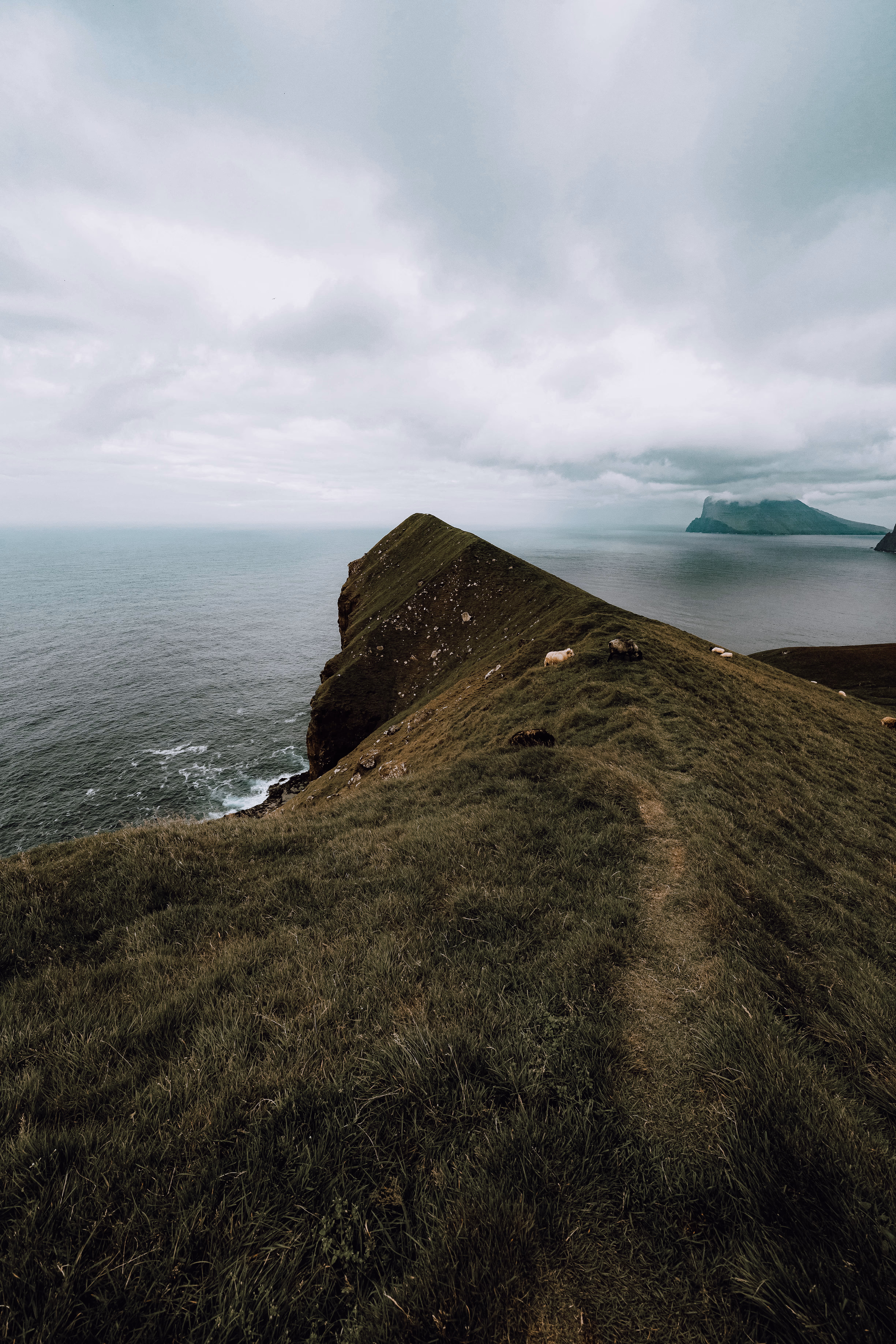 Earth Collection — photo 6