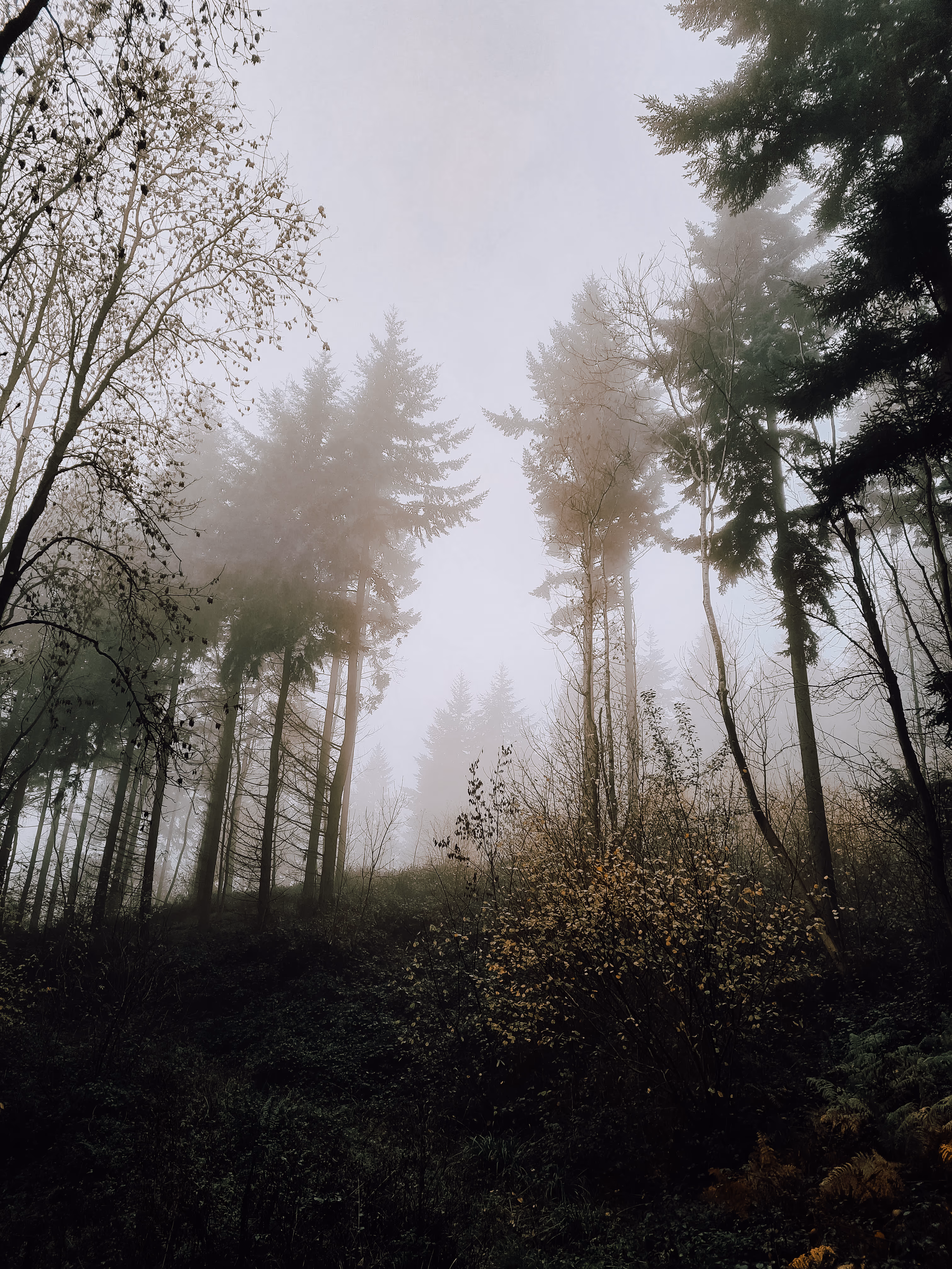 Earth Collection — photo 7