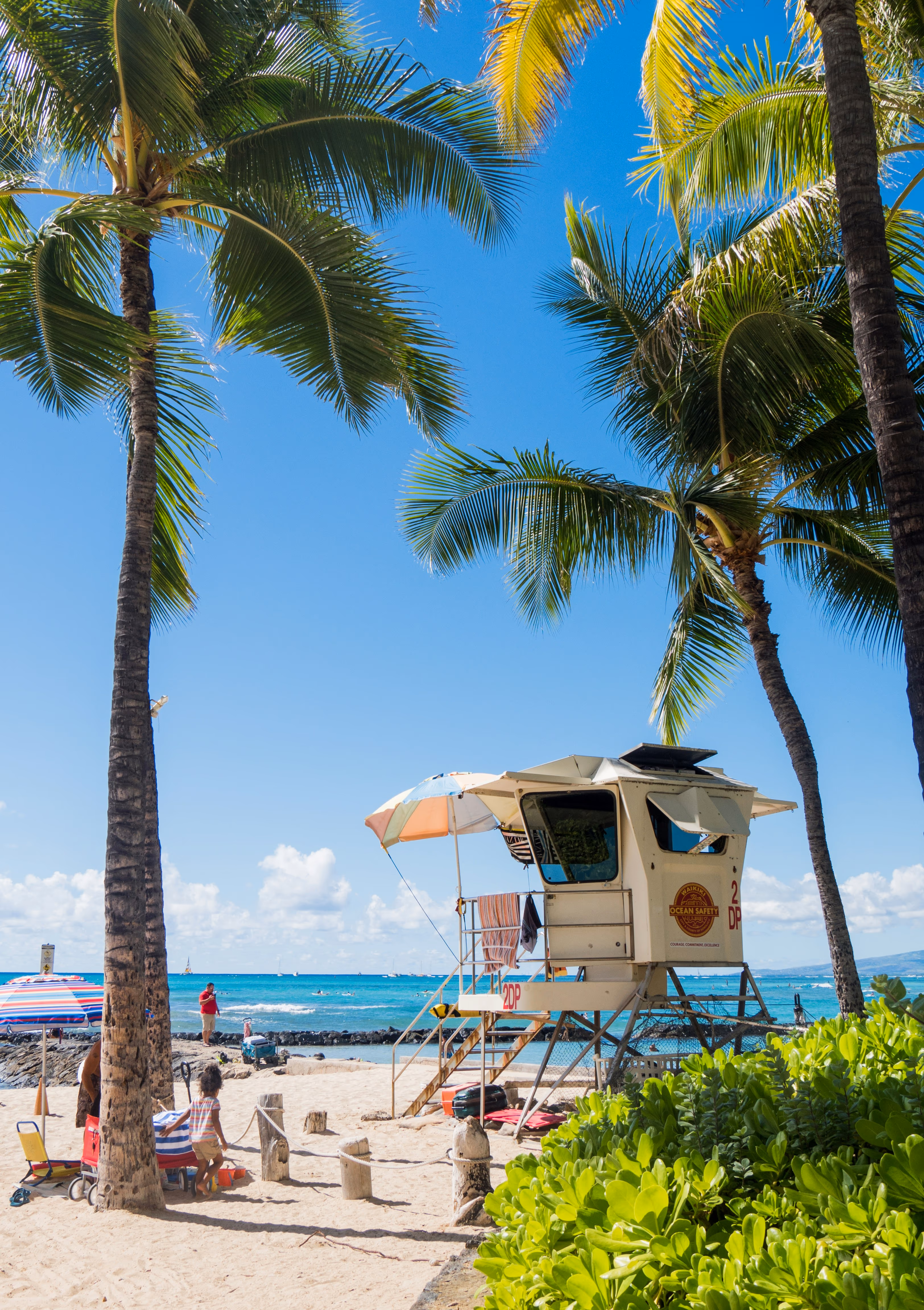 Landscape Hawaii