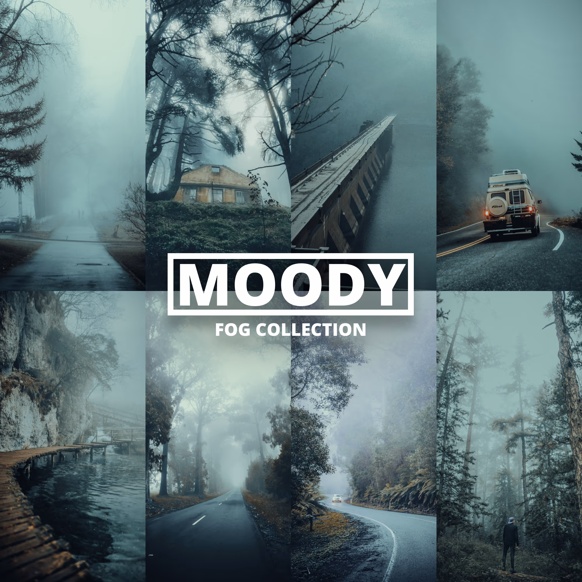 Moody Fog
